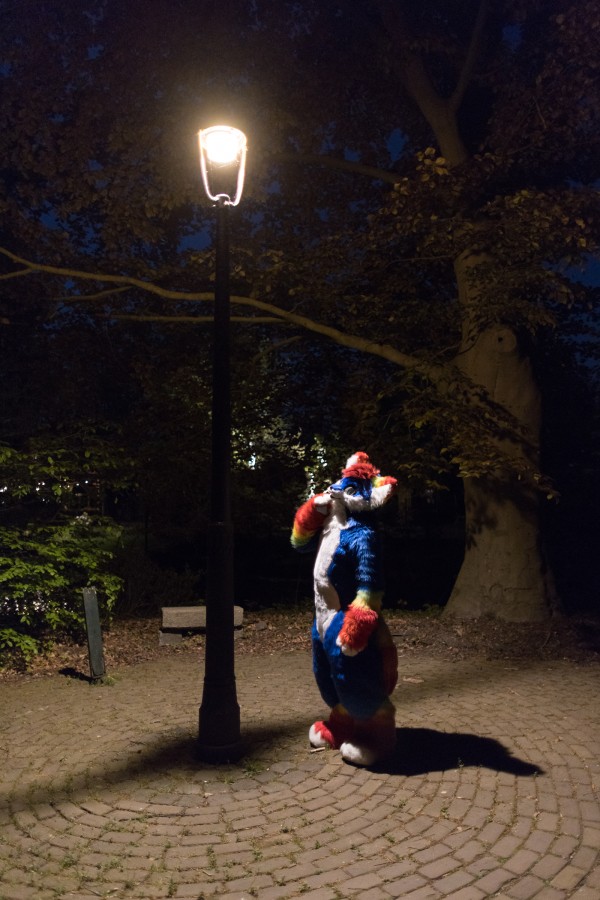 Furry Weekend Holland 2022, Photoshoots