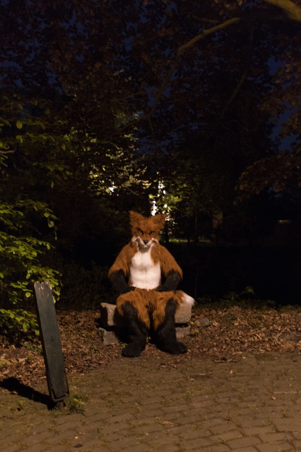 Furry Weekend Holland 2022, Photoshoots