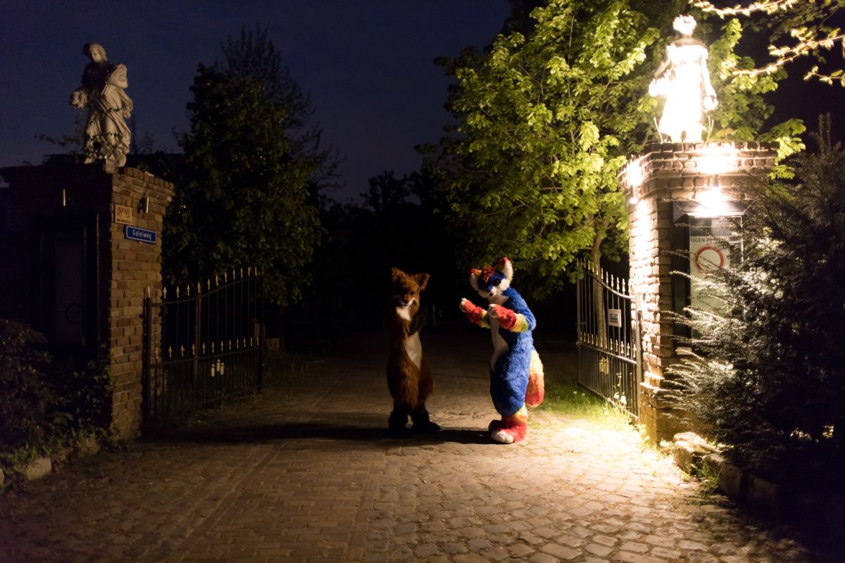 Furry Weekend Holland 2022, Photoshoots