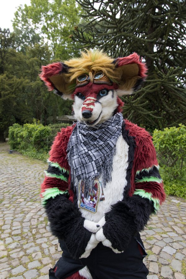 Furry Weekend Holland 2023, Fursuits