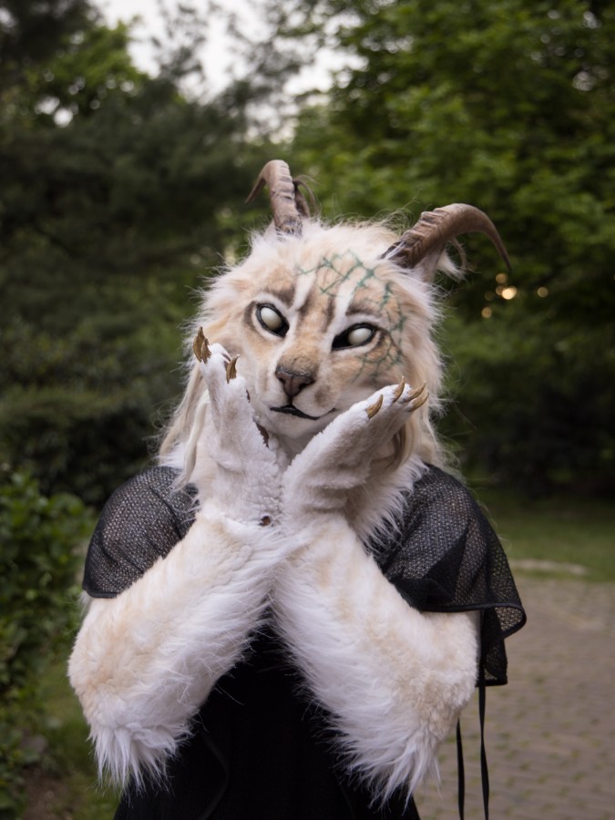 Furry Weekend Holland 2023, Mini photoshoots