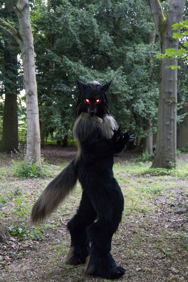 Furry Weekend Holland 2023, Mini photoshoots