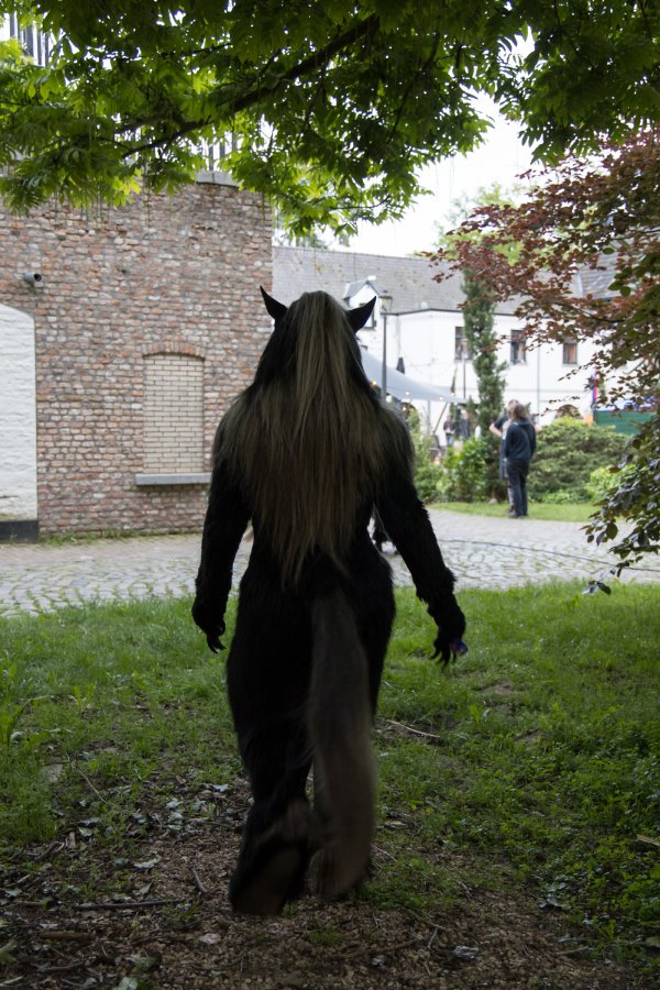 Furry Weekend Holland 2023, Mini photoshoots
