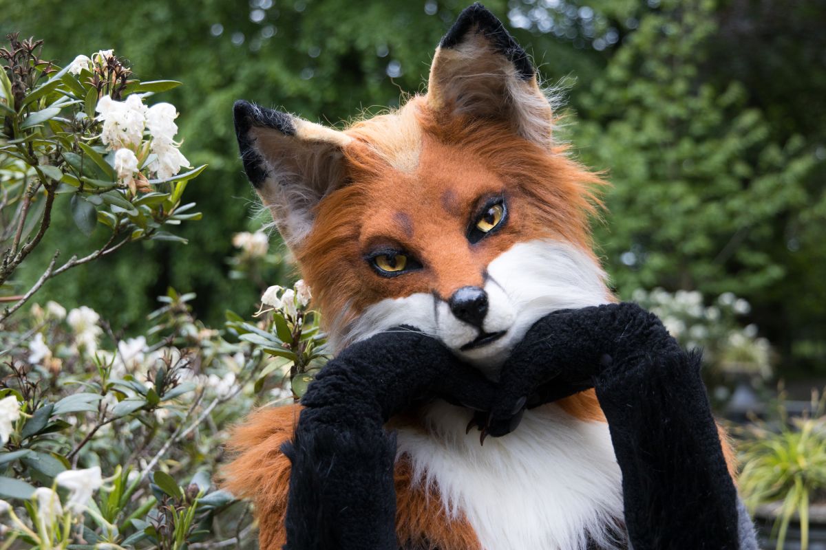 Furry Weekend Holland 2023, Mini photoshoots