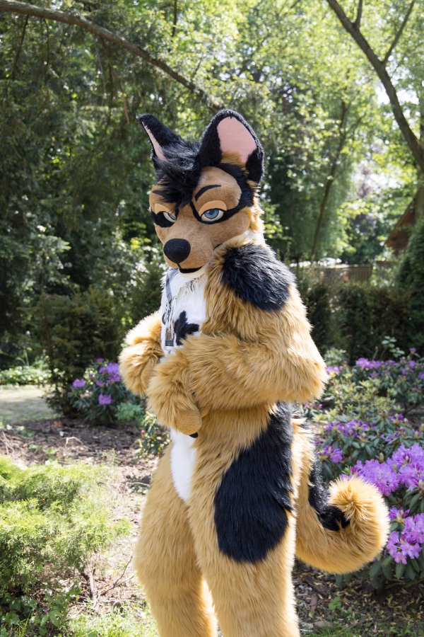 Furry Weekend Holland 2023, Fursuits