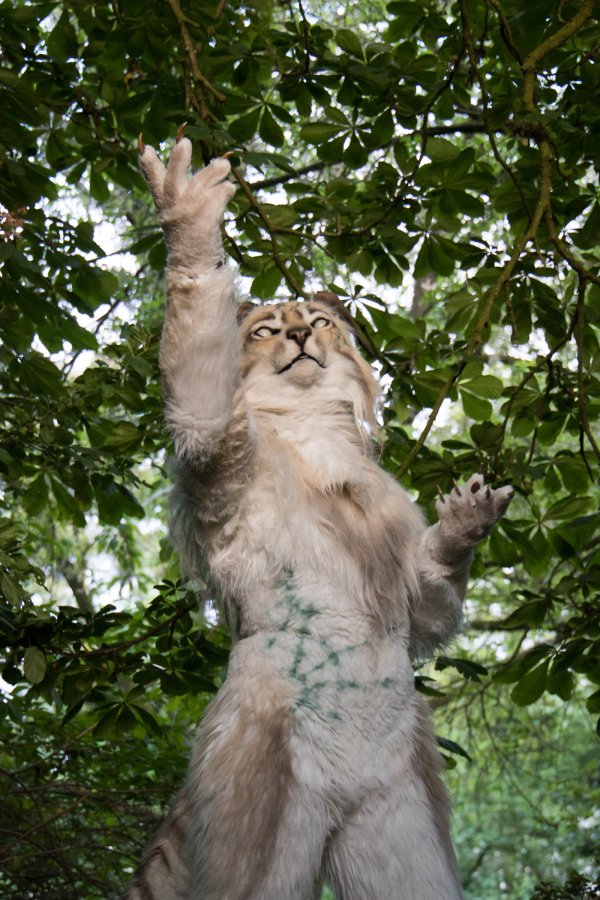 Furry Weekend Holland 2023, Mini photoshoots