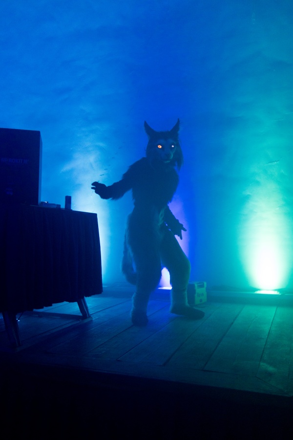 Furry Weekend Holland 2023, Fursuits