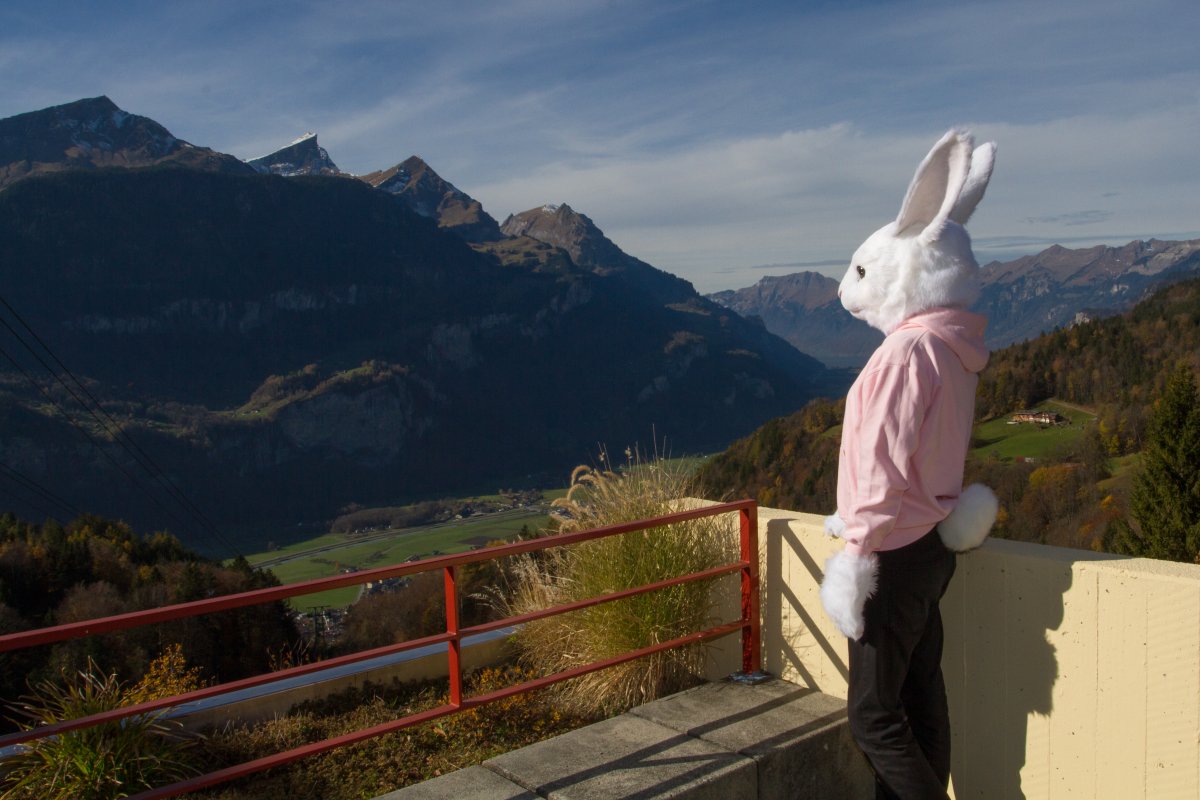 Golden Leaves Con 8, Lumie Bunny