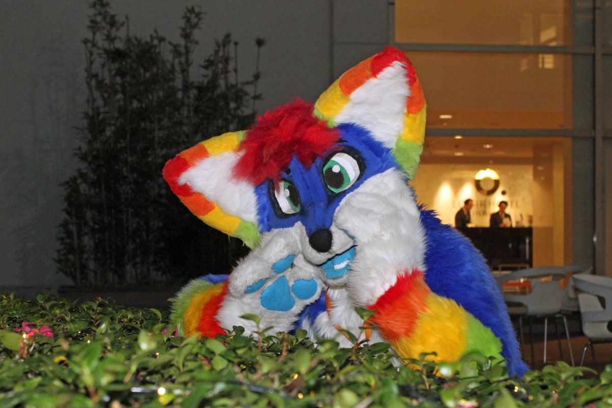 Japan Meeting of Furries 2016, Fursuits