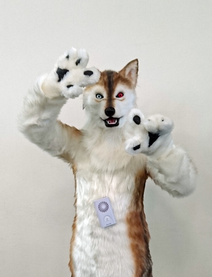 Japan Meeting of Furries 2016, Fursuits