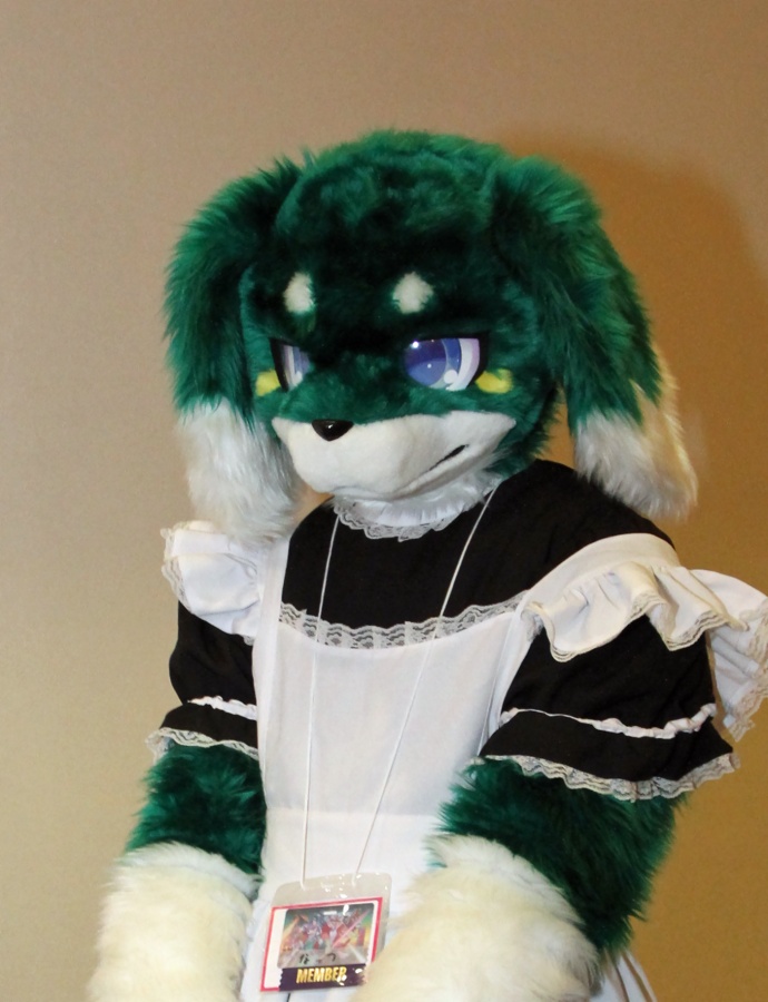 Japan Meeting of Furries 2016, Fursuits