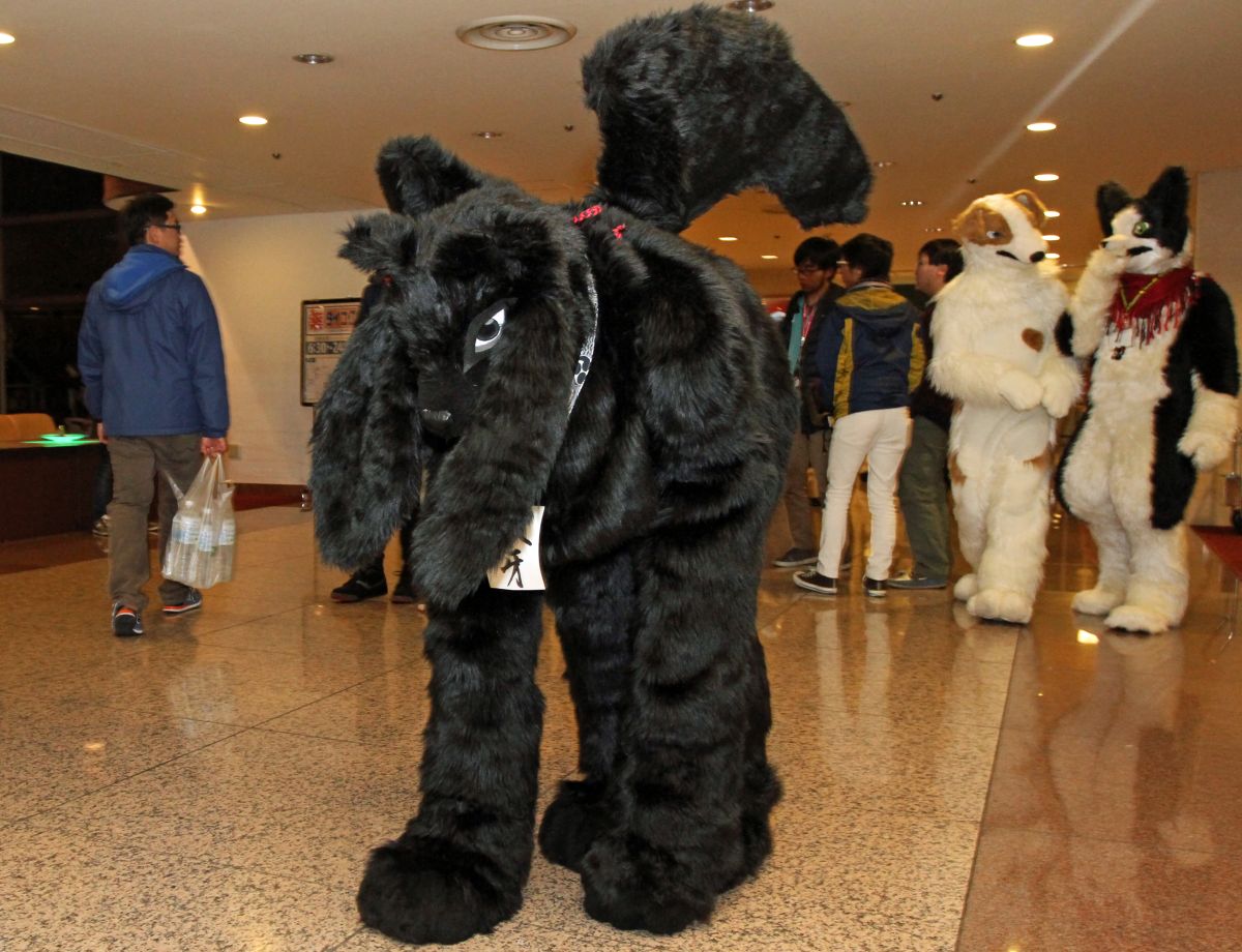 Japan Meeting of Furries 2016, Fursuits