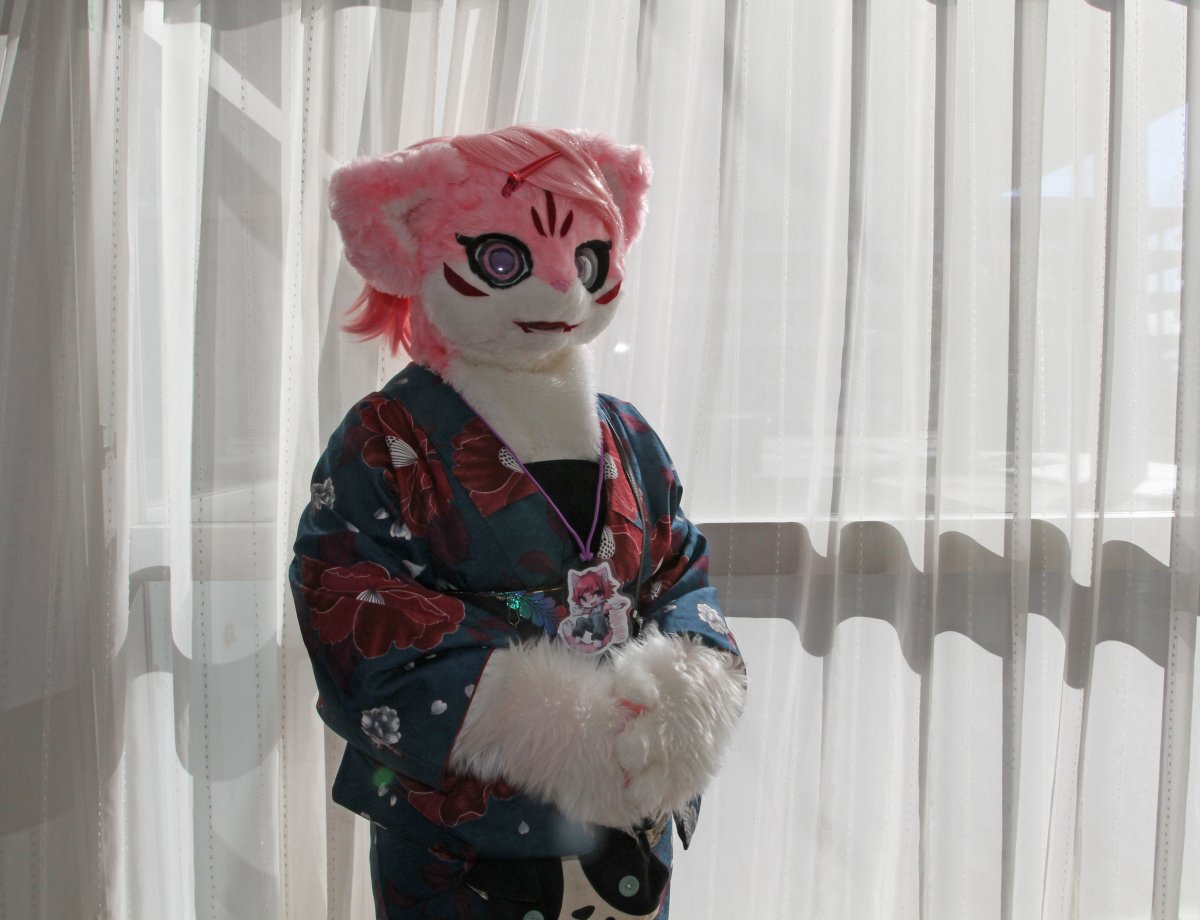 Japan Meeting of Furries 2016, Fursuits