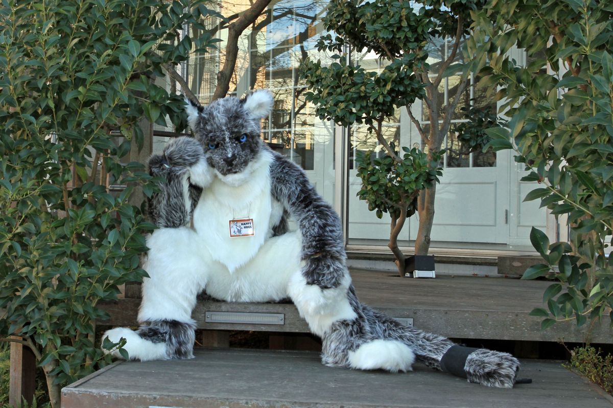 Japan Meeting of Furries 2016, Fursuits