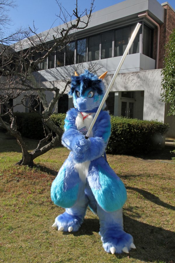 Japan Meeting of Furries 2016, Fursuits
