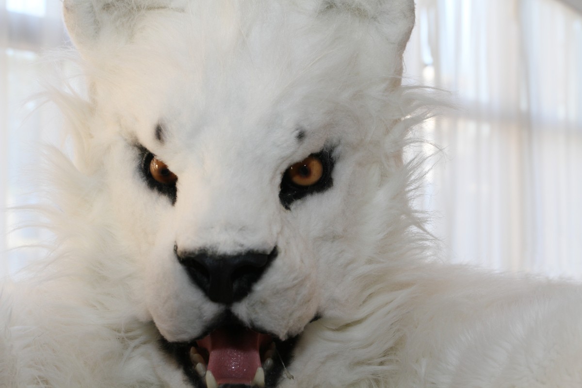 Japan Meeting of Furries 2016, Fursuits