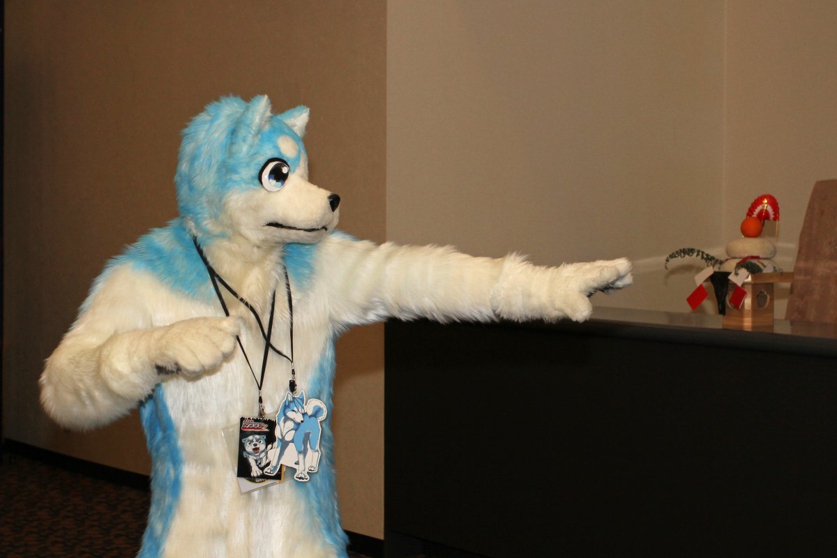 Japan Meeting of Furries 2016, Fursuits