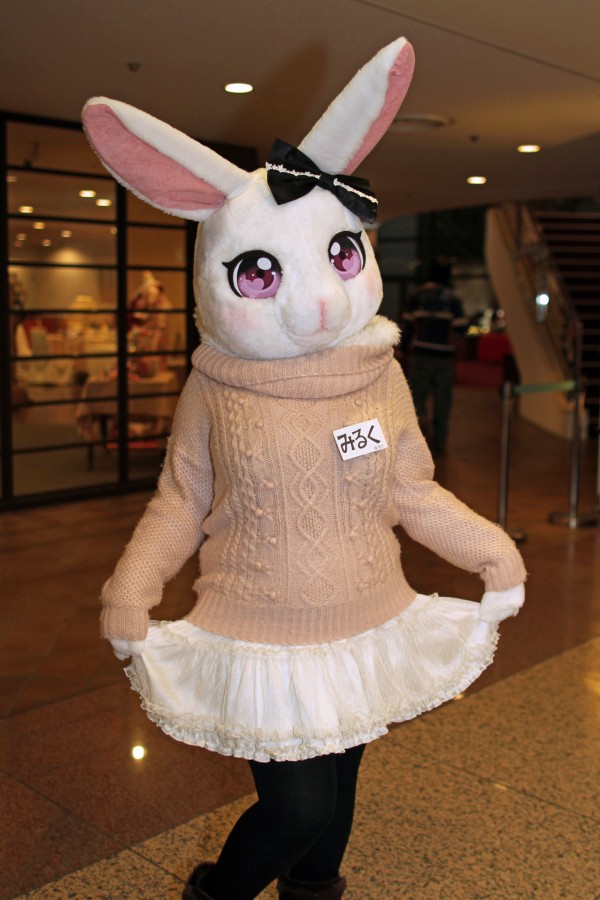 Japan Meeting of Furries 2016, Fursuits