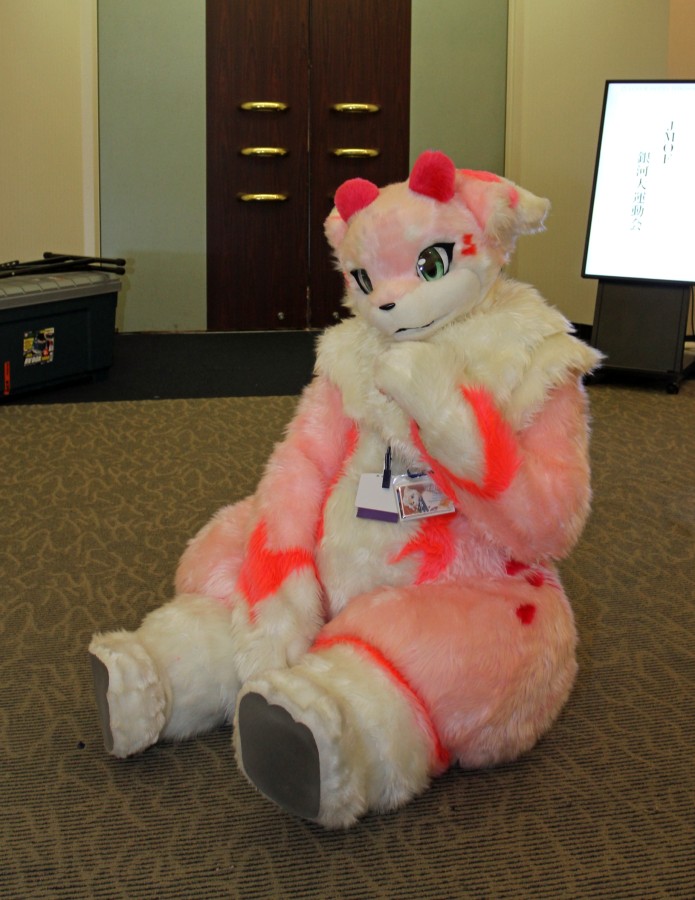 Japan Meeting of Furries 2016, Fursuits
