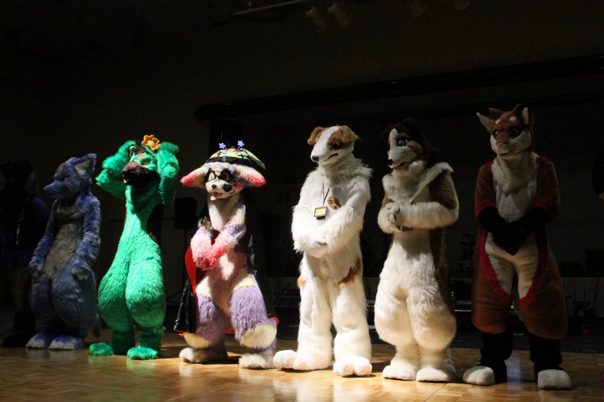 Japan Meeting of Furries 2016, Other