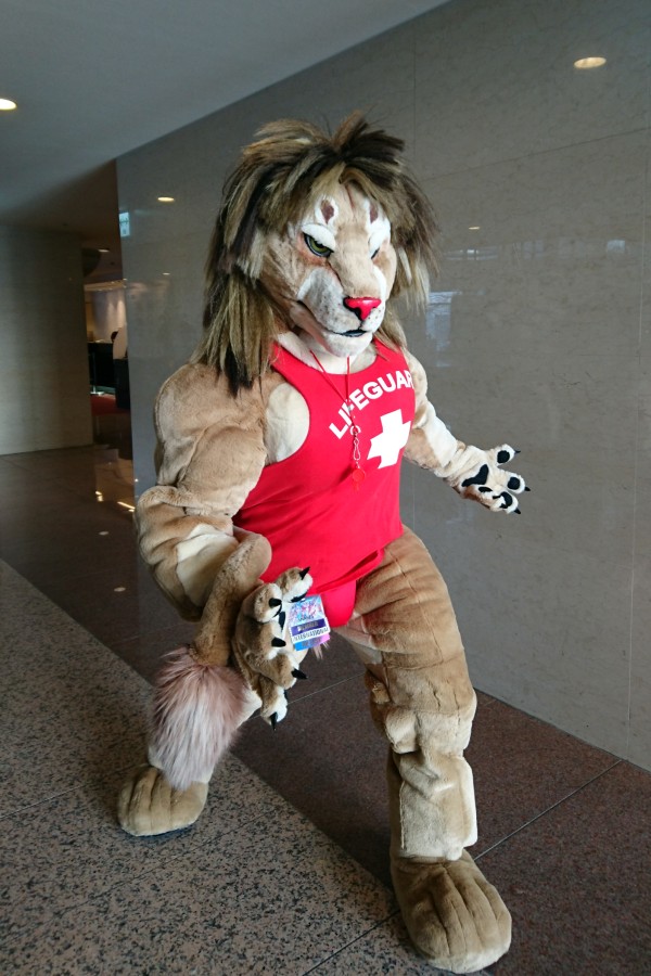 Japan Meeting of Furries 2016, Fursuits