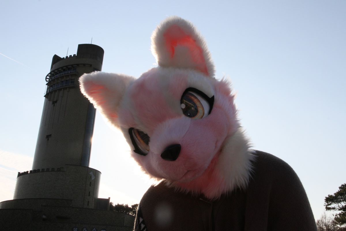 Japan Meeting of Furries 2016, Non Hoi Park