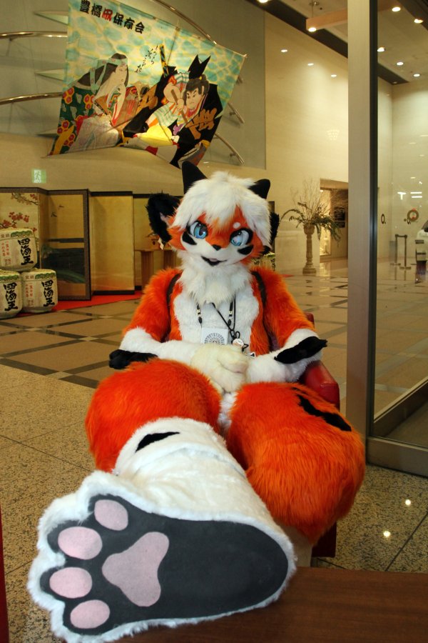 Japan Meeting of Furries 2017, Convention photos