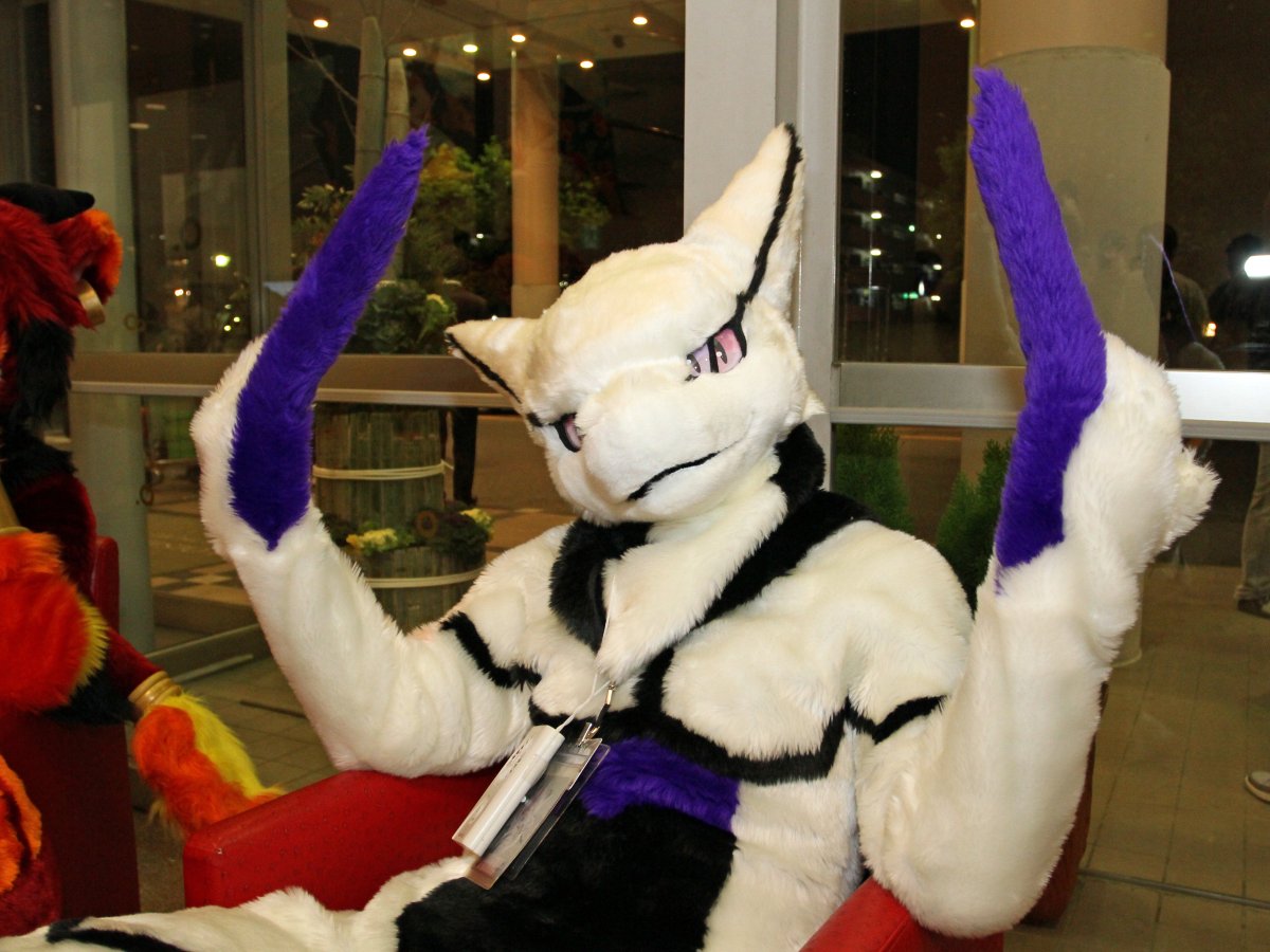 Japan Meeting of Furries 2017, Convention photos