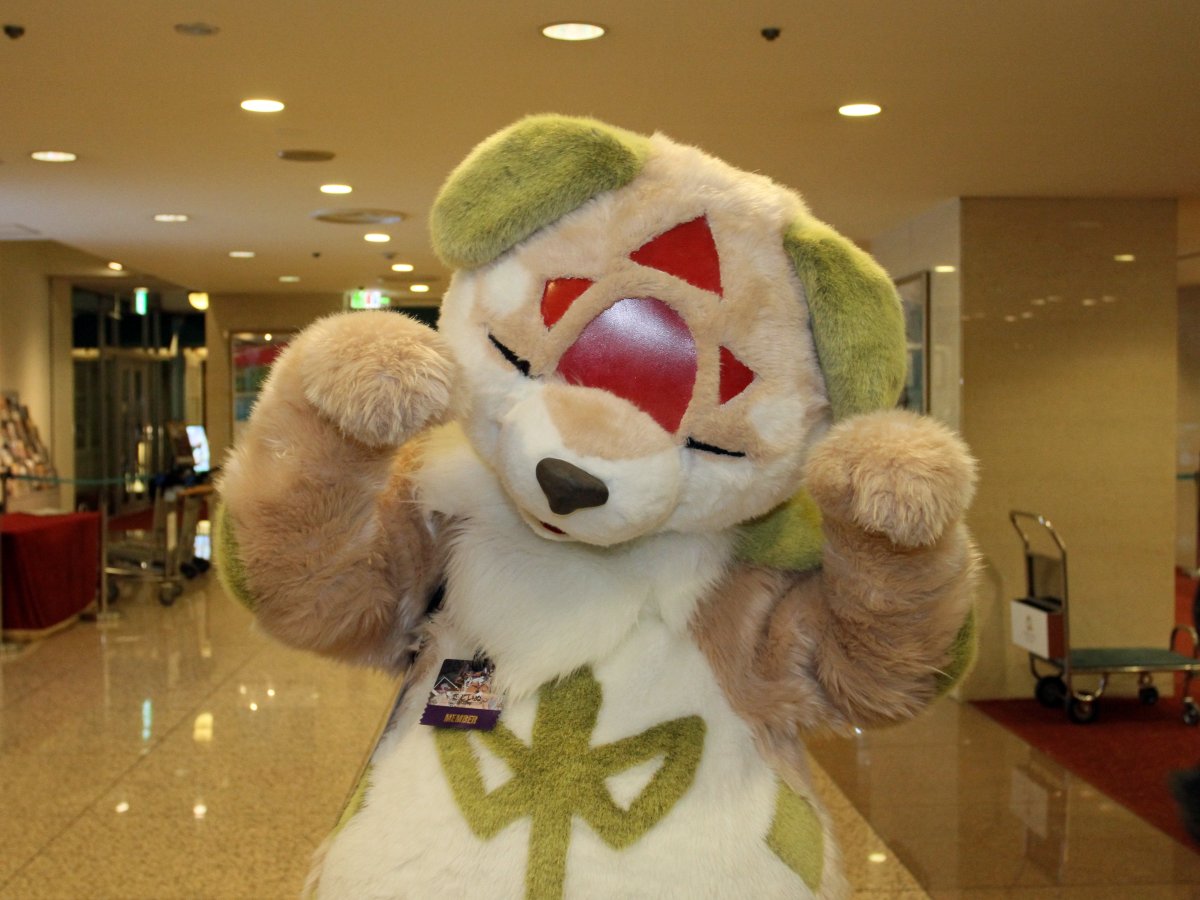 Japan Meeting of Furries 2017, Convention photos