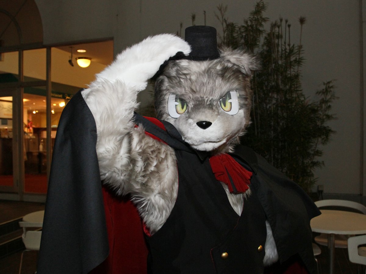 Japan Meeting of Furries 2017, Convention photos