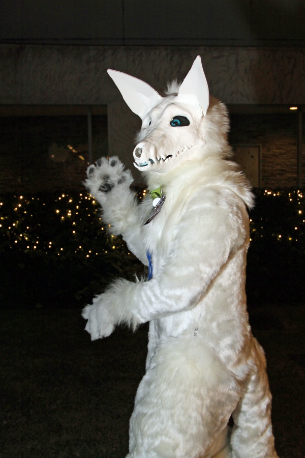Japan Meeting of Furries 2017, Convention photos