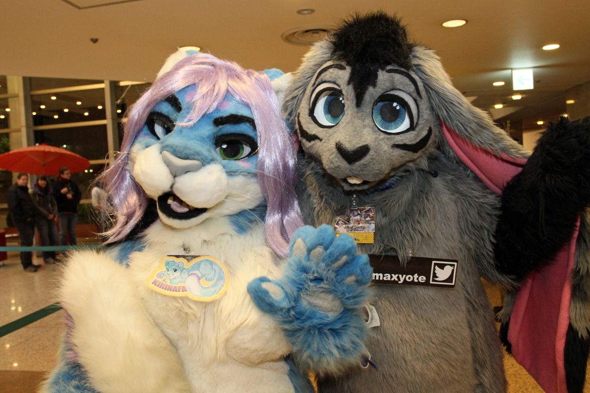 Japan Meeting of Furries 2017, Convention photos
