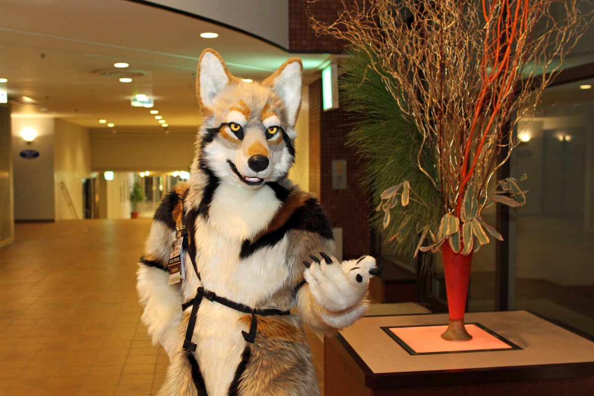 Japan Meeting of Furries 2017, Convention photos