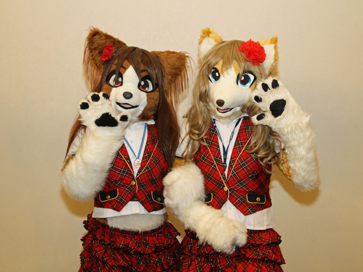 Japan Meeting of Furries 2017, Convention photos