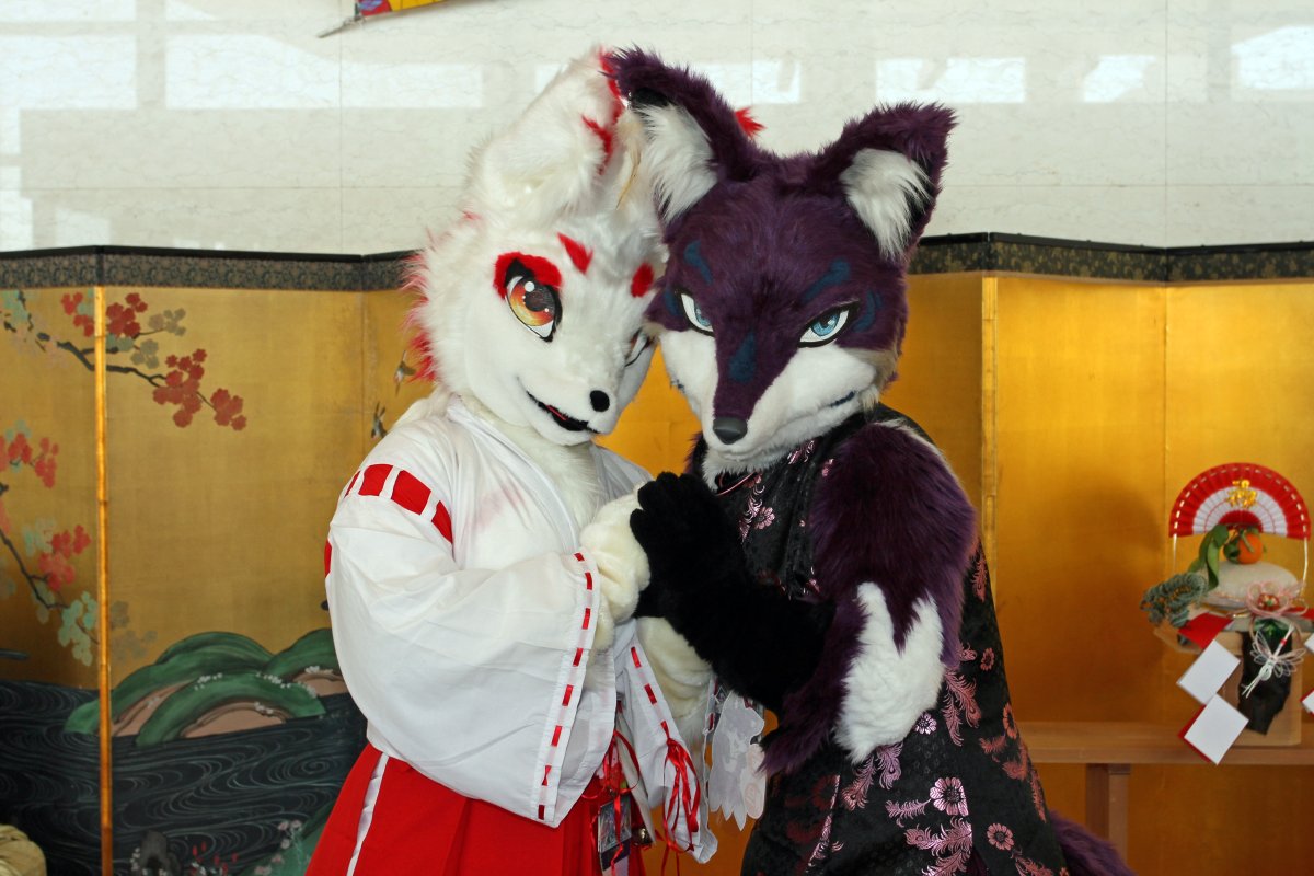 Japan Meeting of Furries 2017, Convention photos