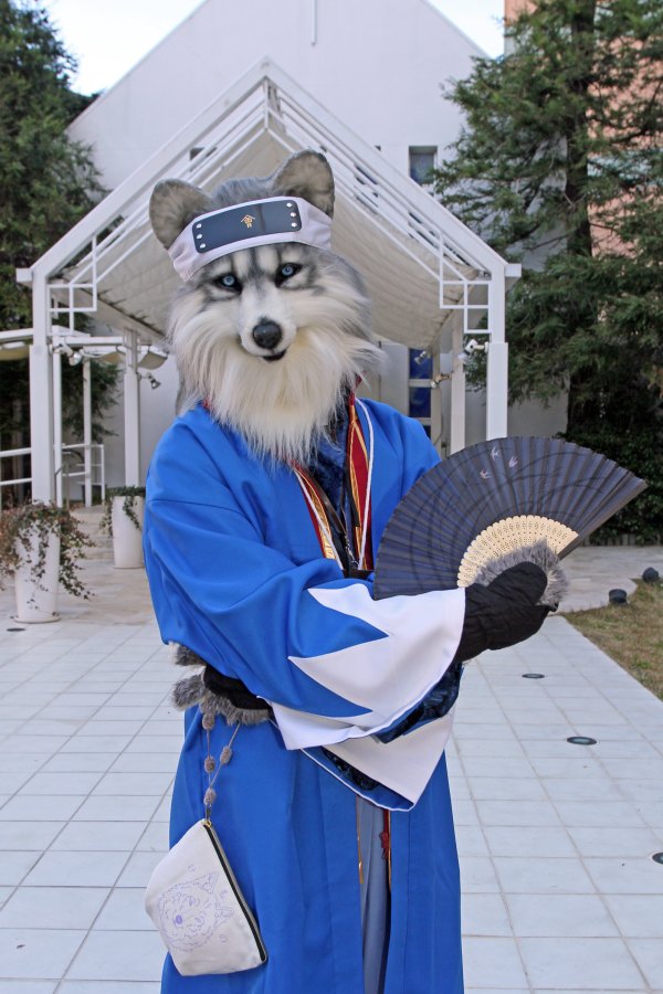 Japan Meeting of Furries 2017, Convention photos