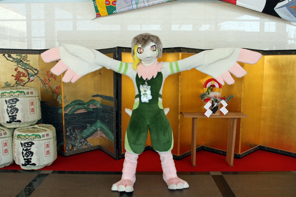 Japan Meeting of Furries 2017, Convention photos