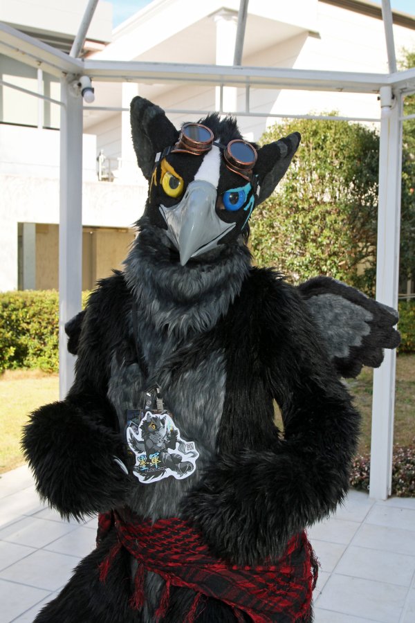 Japan Meeting of Furries 2017, Convention photos