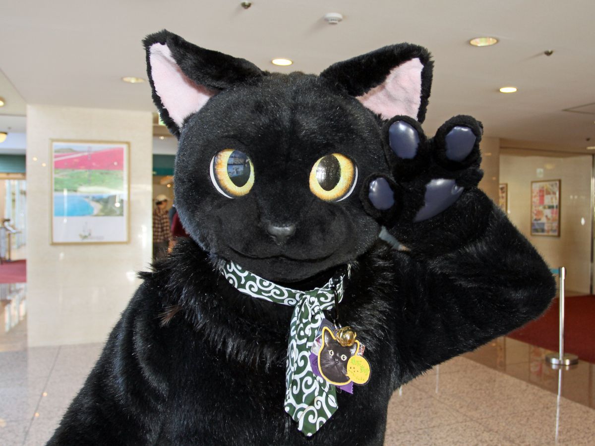 Japan Meeting of Furries 2017, Convention photos