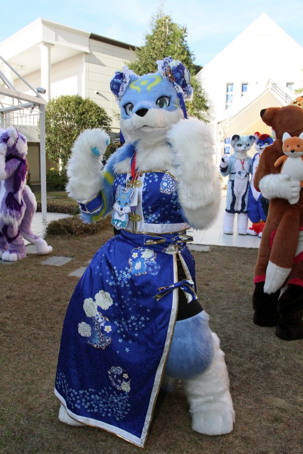Japan Meeting of Furries 2017, Convention photos
