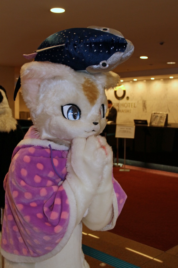 Japan Meeting of Furries 2017, Convention photos