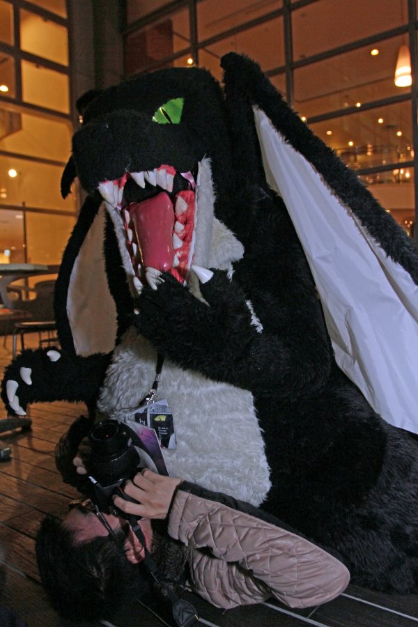 Japan Meeting of Furries 2017, Convention photos