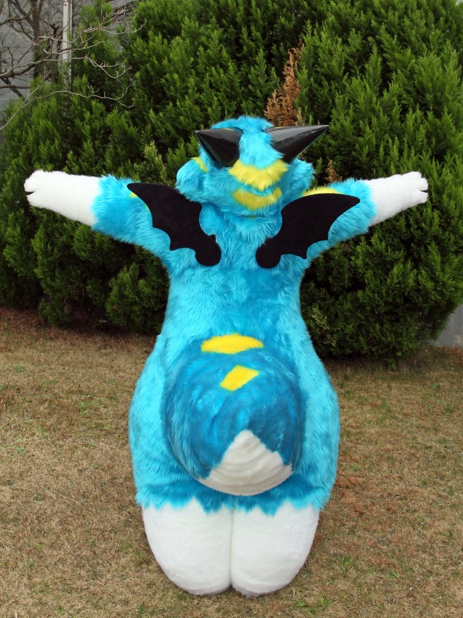 Japan Meeting of Furries 2017, Convention photos
