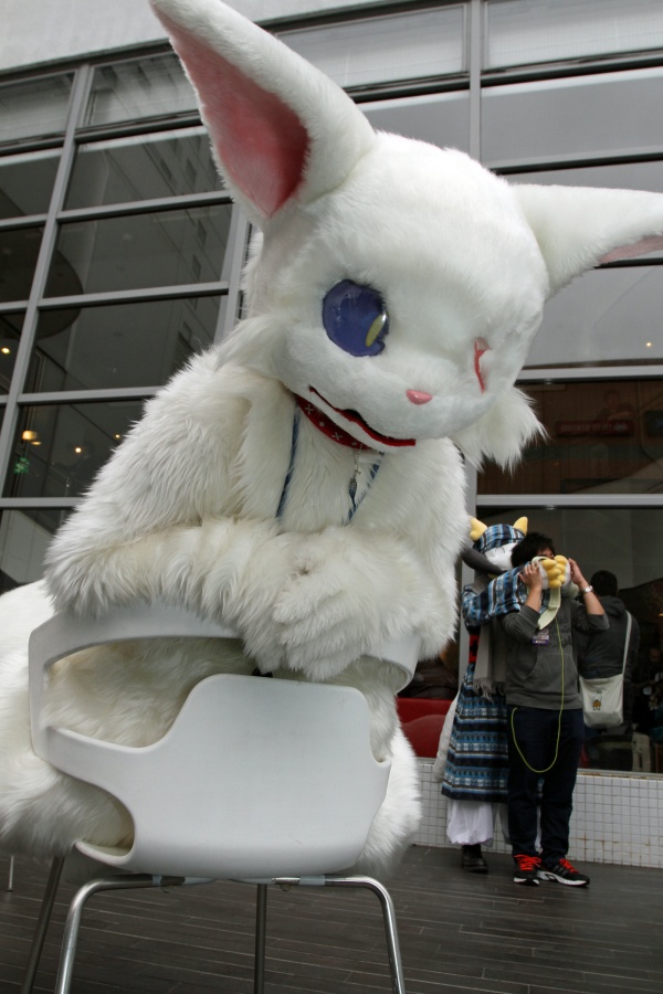 Japan Meeting of Furries 2017, Convention photos