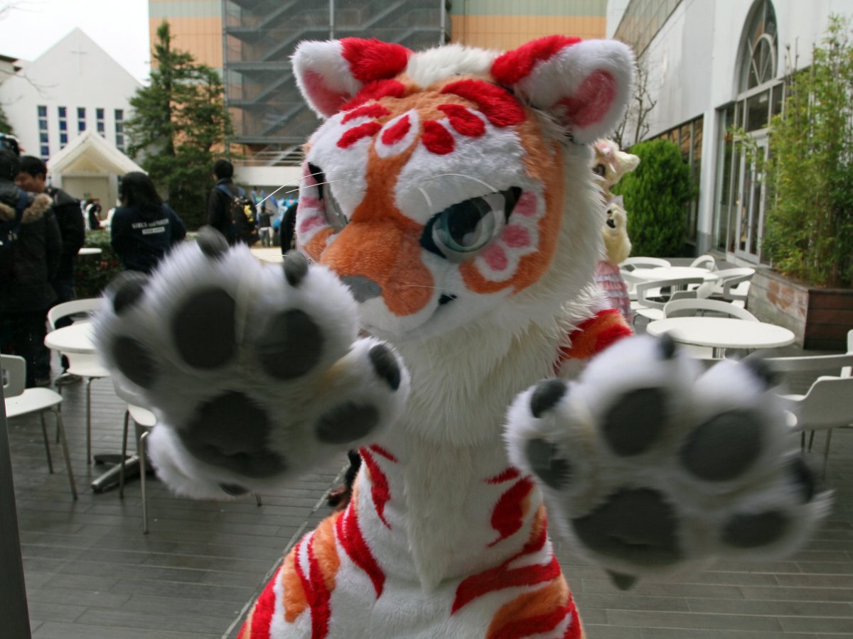Japan Meeting of Furries 2017, Convention photos
