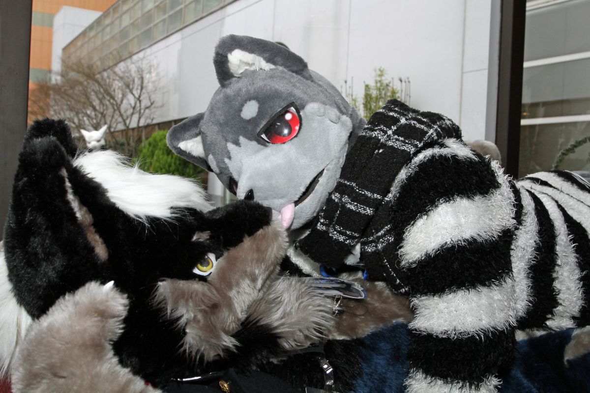 Japan Meeting of Furries 2017, Convention photos