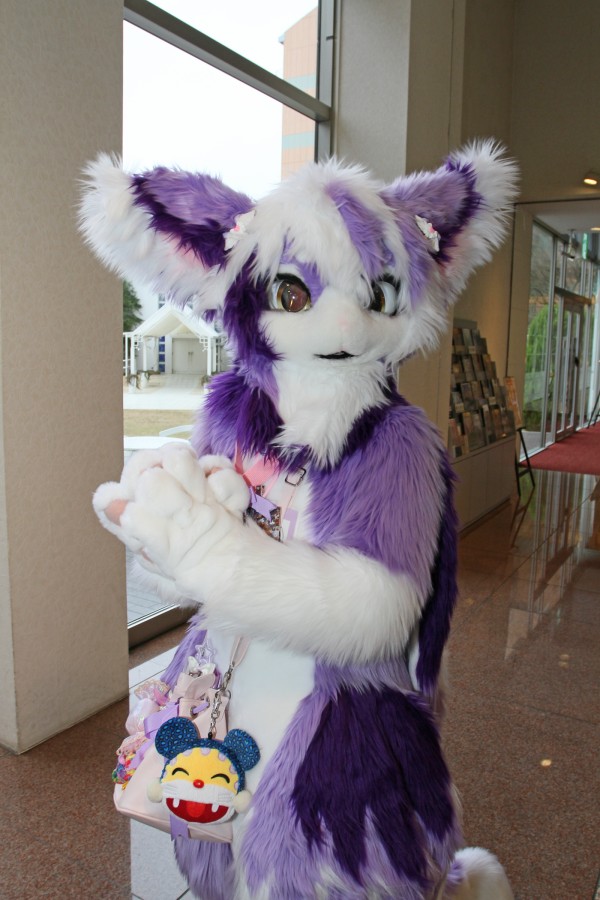 Japan Meeting of Furries 2017, Convention photos