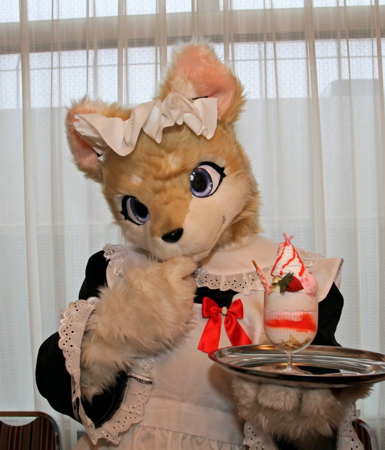 Japan Meeting of Furries 2017, Convention photos