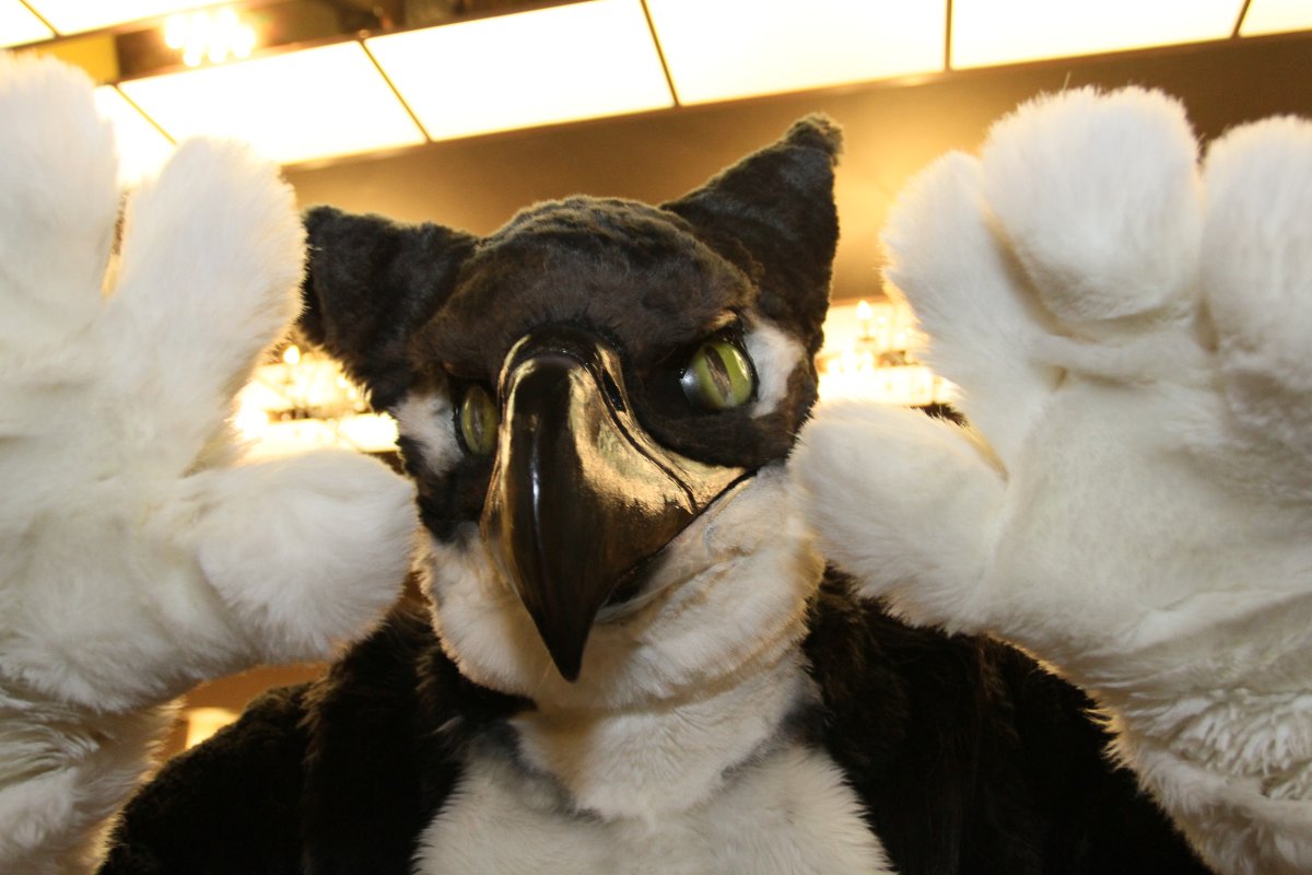 Japan Meeting of Furries 2017, Convention photos