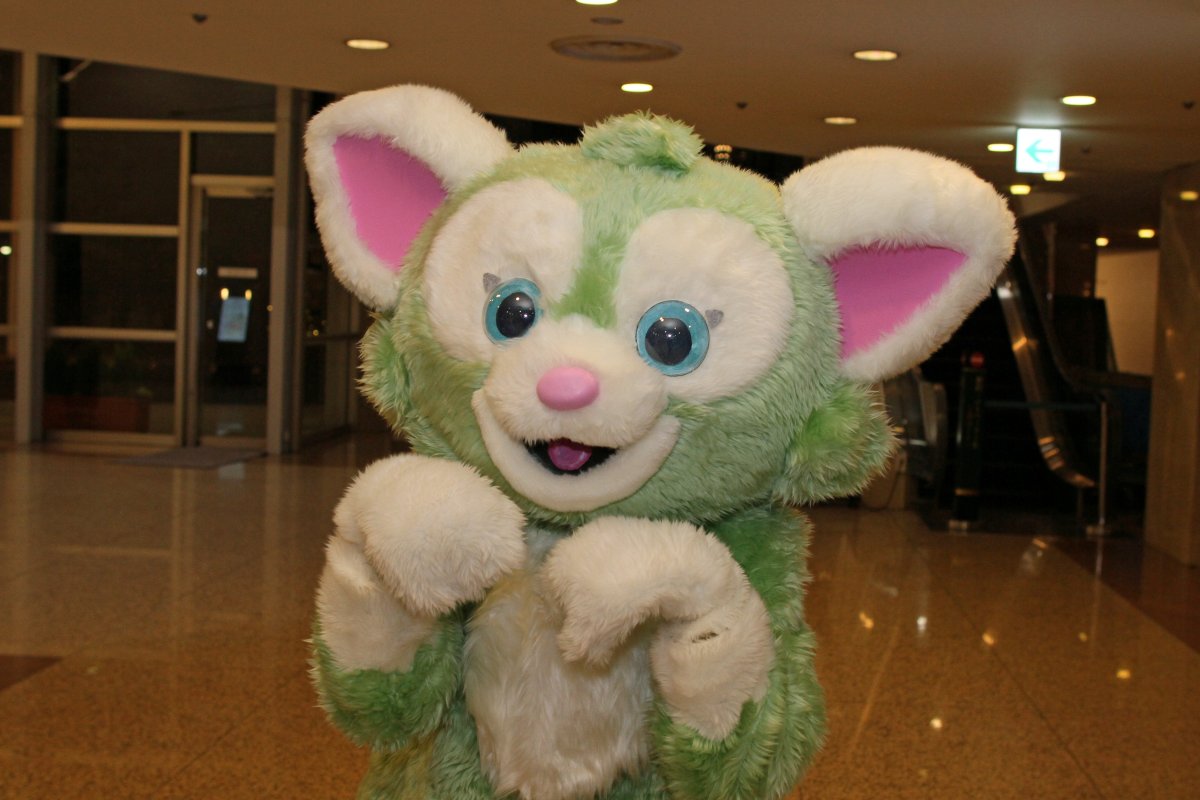 Japan Meeting of Furries 2017, Convention photos